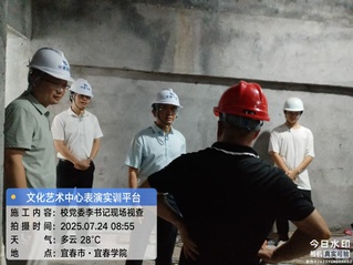 文化艺术中心项目李书记现场视察